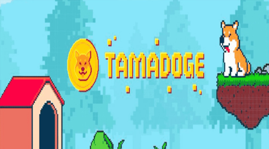 عملات رقمية جديدة - Tamadoge 